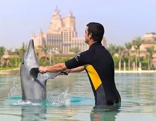 Dolphin Bay