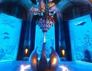 The Lost Chambers Aquarium